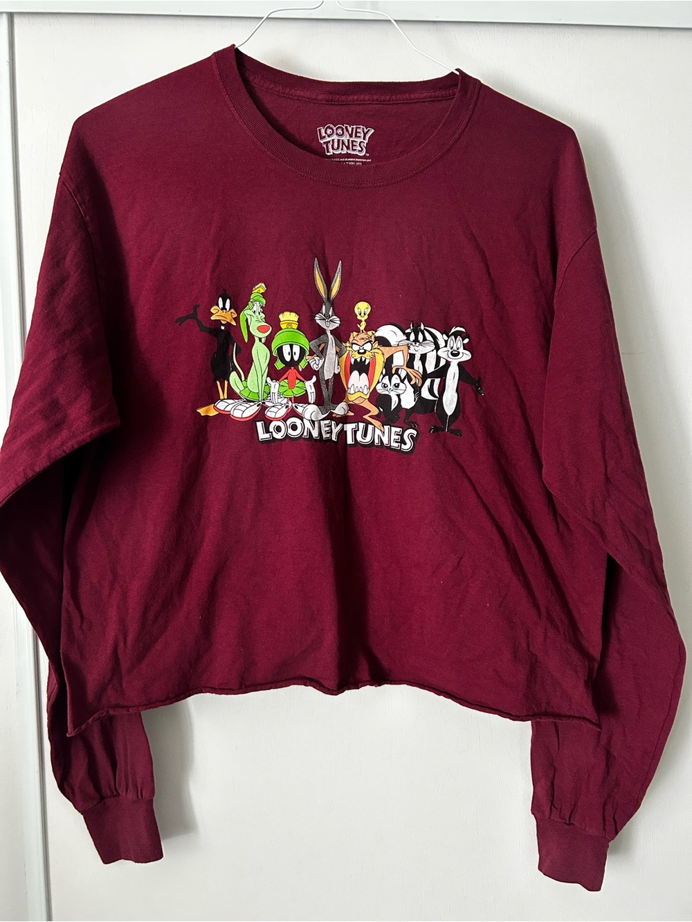 Warner Bros. Looney Tunes Kids Long-Sleeve Hoodie-Style Tee - Burgundy